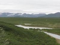 Along the Denali Highway